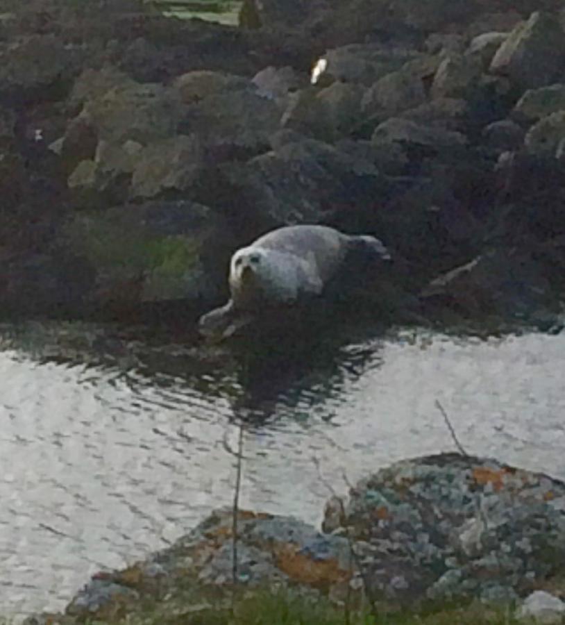 Burnside Lodge Portnahaven Eksteriør billede